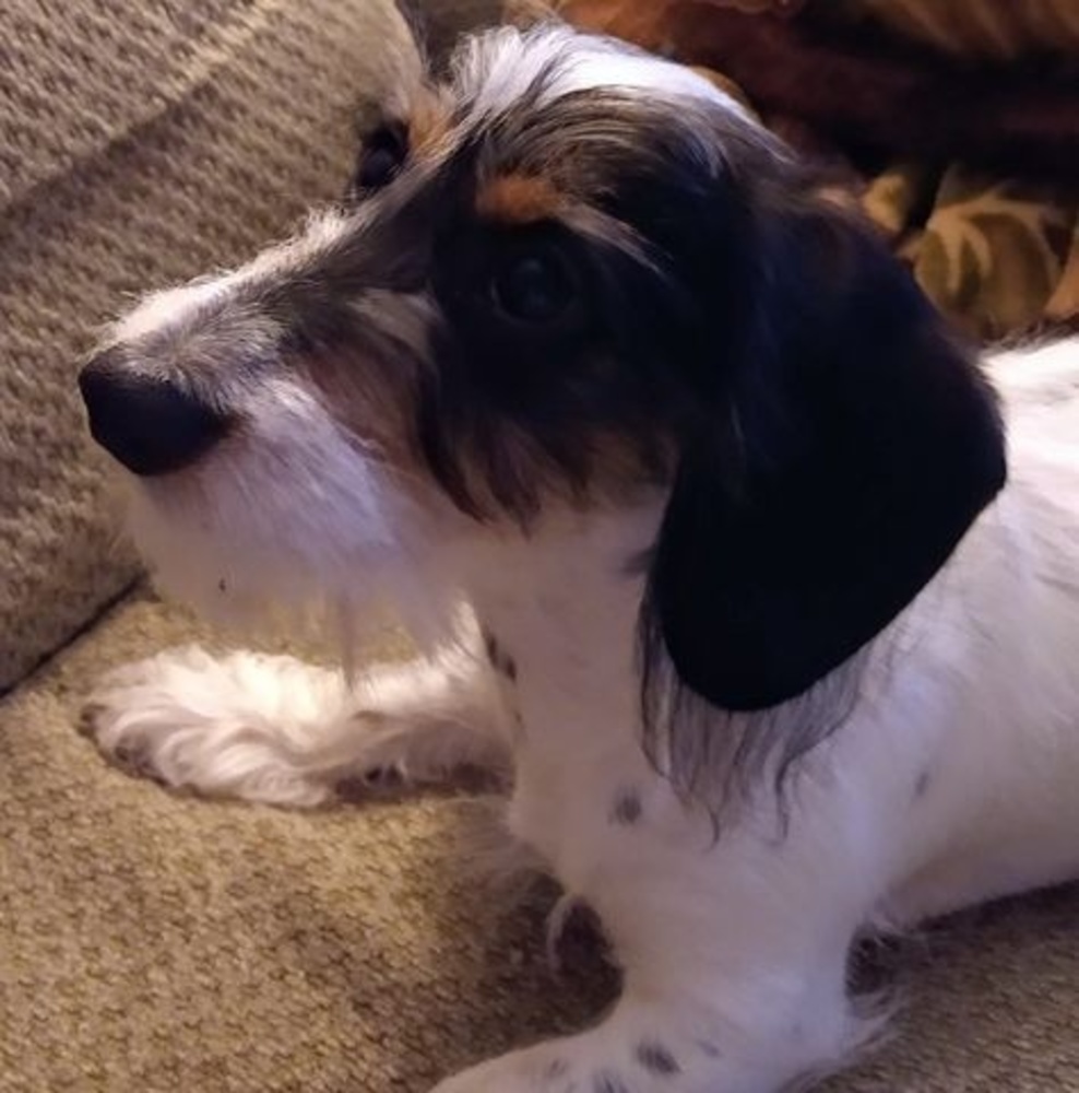 Meet your Posher, Doris